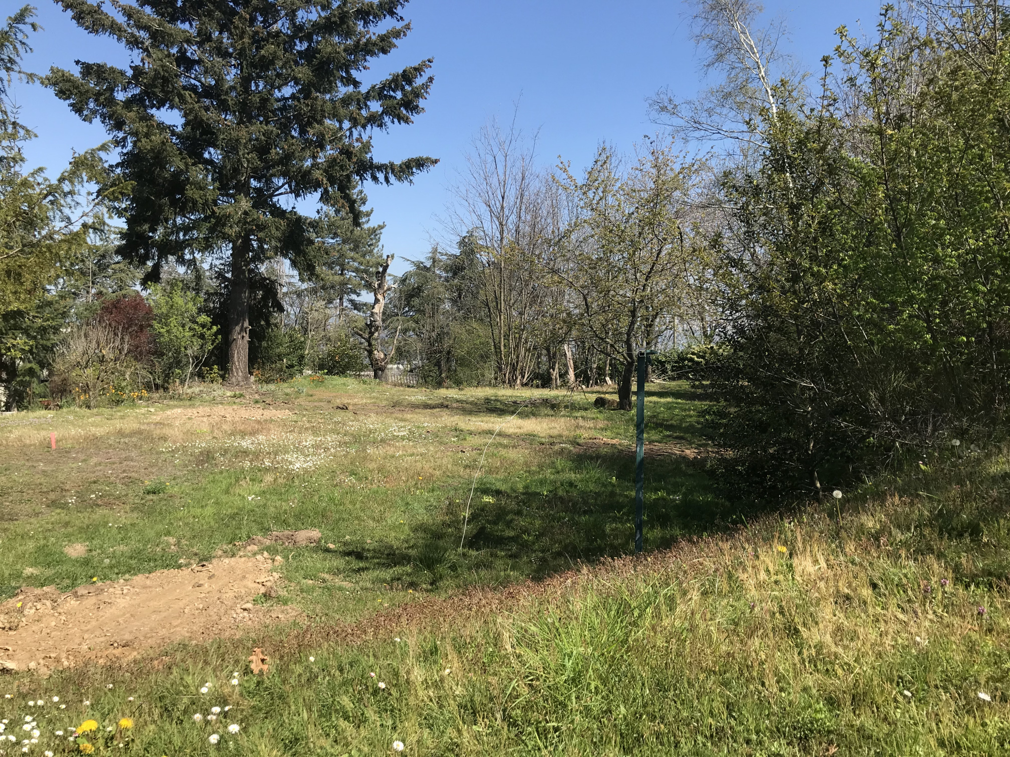 offres programmes neufs Maison + Terrain Saint Etienne